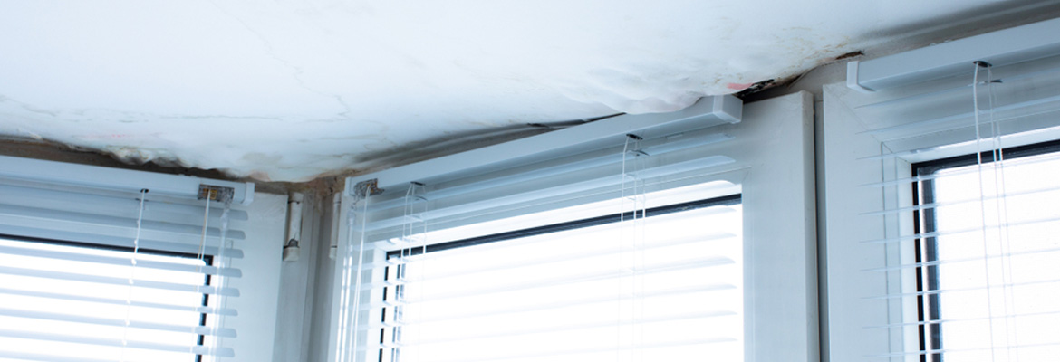 How to Safely Treat and Prevent Mold Around Windows